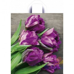 Пакет с петлевой ручкой 43х38см Прекрасные тюльпаны